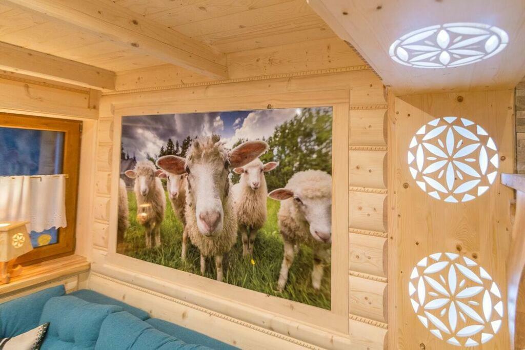 Appartamento Goralska Kryjowka Zakopane Esterno foto